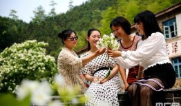 轻轻草在线观看,在线观看，感受诗意生活的魅力