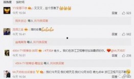 王冕爆料女主播视频,揭秘网络直播背后的真相